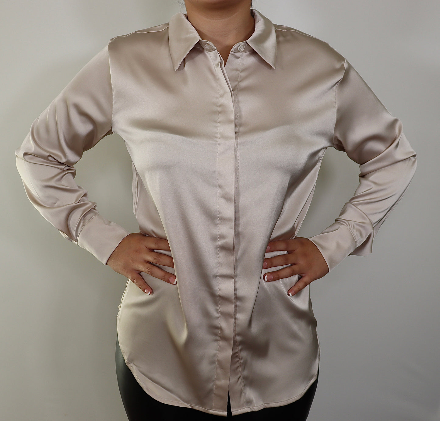 Satin Long Sleeve Blouse