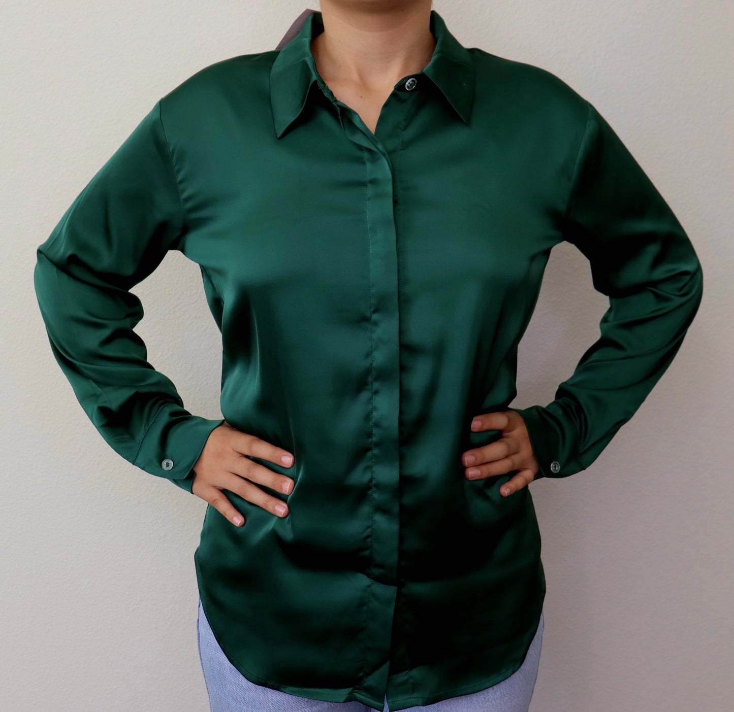 Satin Long Sleeve Blouse